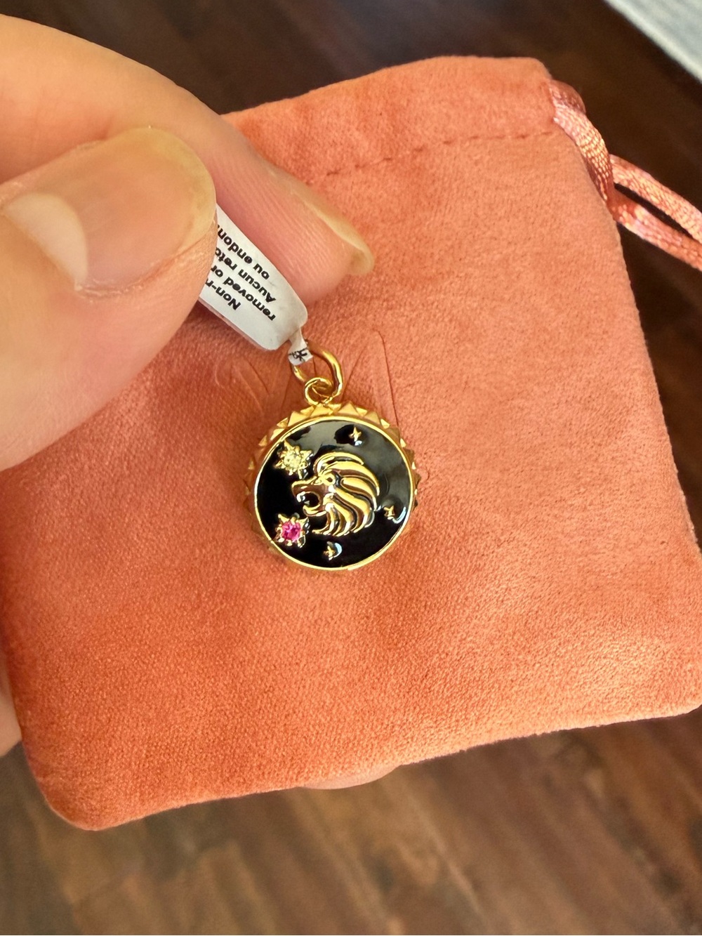 Mejuri Leo Horoscope Pendant Necklace - New ✨